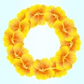 Bright Nasturtium wreath. Wild Yellow flowers. BeautifulÃ¯Â¿Â½Floral circle isolated on blue background. Vector illustration. Card