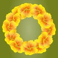 Bright Nasturtium wreath. Wild Yellow flowers. BeautifulÃ¯Â¿Â½Floral circle isolated on green background. Vector illustration.