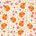 Bright native floral embroidered seamless ornament on a white background. Flowers with orange, red, pink and yellow petals