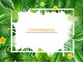 Bright natuer background with jungle plants. tropical leaves.