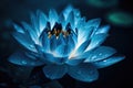 Bright neon blue colorful lotus flower bloom. Vivid waterlily closeup floral background. Royalty Free Stock Photo