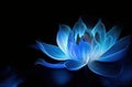 Bright neon blue colorful lotus flower bloom. Vivid waterlily closeup floral background. Royalty Free Stock Photo