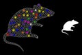 Bright Network Rat Icon with Glare Color Lightspots