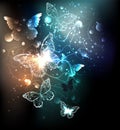 Bright night butterflies Abstract background