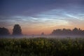 Bright noctilucent clouds Royalty Free Stock Photo