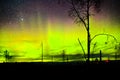 Bright northern lights and starry sky over lapland landscape