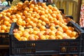 Bright orange apricots in two boxes for sale on Apricot Fair in Porreres, Mallorca Royalty Free Stock Photo