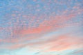 Orange cirrocumulus clouds in blue sky