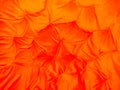 Bright Orange Fabric Background