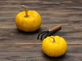 Bright orange fancy organic pumpkin with cultivator on dark wooden table background