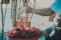 Bright orange fishing net with floats. Fisher boat in a sea. Hands of an old fisherman Royalty Free Stock Photo