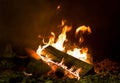 Bright orange flame and crushed log part, firewood foundation of the bonfire