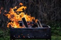 A bright orange flame of fire burns against a dark background. Birch firewood Royalty Free Stock Photo