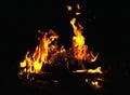 The bright orange flame of the fire. Firewood burns at night in the woods Royalty Free Stock Photo