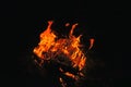 The bright orange flame of the fire. Firewood burns at night in the woods Royalty Free Stock Photo