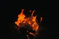 The bright orange flame of the fire. Firewood burns at night in the woods. Royalty Free Stock Photo