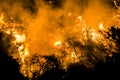 Bright Orange Flames and Embers Burn Black Brush at Night during California Fire Royalty Free Stock Photo