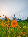 Bright Orange Flower at World Peace Pagoda garden in Pokhara Nepal