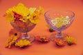 Bright orange flowers in a blue vase on an orange background. And various tablets and pills in another vase