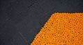 Bright orange flowers border black textured ground Royalty Free Stock Photo