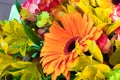 Bright orange gerbera in a bouquet of flowers. Beautiful bouquet gift for the holiday. Flowering plants