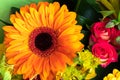 Bright orange gerbera and roses in a bouquet of flowers. Beautiful bouquet gift for the holiday.