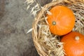 Bright Orange Heirloom Pumpkins in Wicker Basket Dry Autumn Plants Bouquet on Dark Grey Stone. Cozy Fall Atmosphere. Thanksgiving Royalty Free Stock Photo