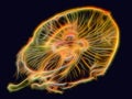 Digitally modified underwater photo of orange jellyfish against dark background Royalty Free Stock Photo