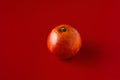 Bright Orange Kara-Kara on a red background.. Citrus sinensis Cara Cara navel orange