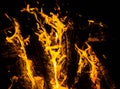 bright orange languages of a fire on wooden logs at night. wood on fire. bonfire at night. campfire. beautiful flame on black back Royalty Free Stock Photo