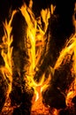 bright orange languages of a fire on wooden logs at night. wood on fire. bonfire at night. campfire. beautiful flame on black back Royalty Free Stock Photo