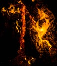 Bright orange languages of a fire on wooden logs at night. wood on fire. bonfire at night. campfire. beautiful flame on black back Royalty Free Stock Photo