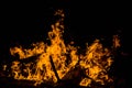 Bright orange languages of a fire on wooden logs at night. wood on fire. bonfire at night. campfire. beautiful flame on black back Royalty Free Stock Photo