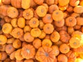 Bright orange mini pumpkins background Royalty Free Stock Photo