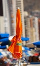 Bright Orange Parasol