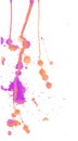 Bright orange and pink purple watercolor splashes and blots on white background.