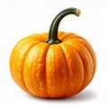 Bright Orange Pumpkin with Green Stem Isolated on White Background Studio Lighting Royalty Free Stock Photo