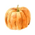 Bright orange pumpkin isolated on white background