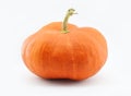 Bright orange pumpkin isolated on white background Royalty Free Stock Photo
