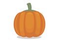 Bright orange pumpkin. Organice plant for food. Can be use for Halloween concept. Isolated illustration