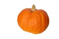 Bright orange pumpkin on white background Royalty Free Stock Photo