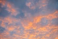 Bright orange illuminate clouds in sky Royalty Free Stock Photo