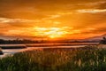 Orange sunset with lens flare, thick tall grass and a flat lazy river Royalty Free Stock Photo