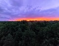 Bright orange sunset over the treetops in the forest. Natural background. Violet clouds in the evening sky.