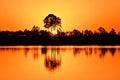 Bright orange sunset reflected in calm water of Pine Glades Lake in Everglades. Royalty Free Stock Photo