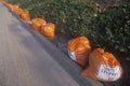 Bright orange trash bags along a roadway waiting for pickup