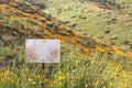 Bright orange vibrant vivid golden California poppies, seasonal spring native plant, wildflowers in bloom, withe blank sign in Royalty Free Stock Photo