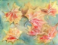 Bright orange watercolor painted autumn foliage Royalty Free Stock Photo