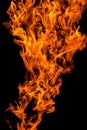 Bright orange yellow red Fire flame against black background, abstract texture Royalty Free Stock Photo