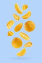 Bright oranges as flow fly or fall as art composition. Whole, half, quarter pieces fruits on pastel blue background with shadow. Royalty Free Stock Photo